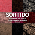 Tapete Felpudo 2,00 m x 1,50 m Antiderrapante
